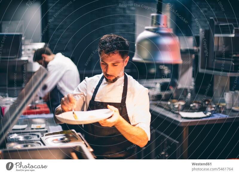 Chef serving food on a plate in the kitchen of a restaurant Occupation Work job jobs profession professional occupation Chefs cook cooks Crockery Tableware dish