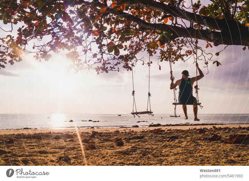 Thailand, Phi Phi Islands, Ko Phi Phi, man on tree swing on the beach at sunset men males swing set playground swing swingset beaches Tree Trees Backlit
