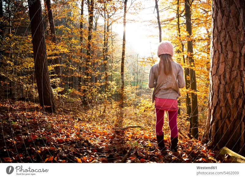 Young girl standing alone in autumn forest, rear view nature experience loneliness soleness aloneness Taking a Break resting break solitary pensive thoughtful