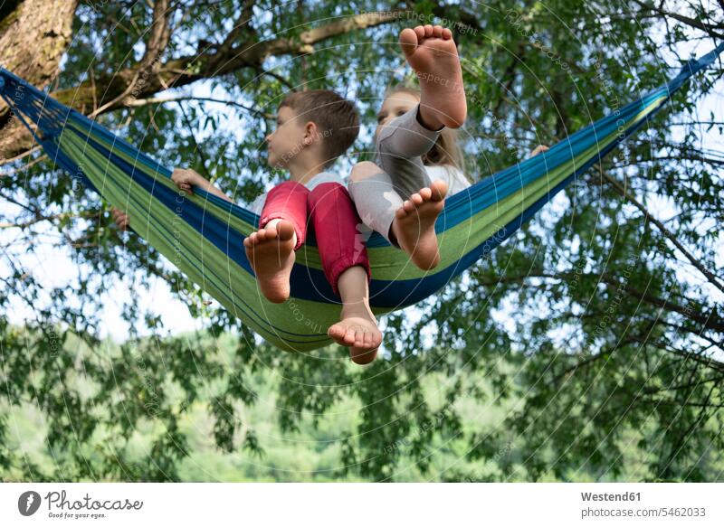 Children relaxing on hammock against trees in forest color image colour image leisure activity leisure activities free time leisure time casual clothing