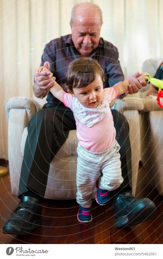 Baby girl learning to walk with help of her grandfather at home baby infants nurselings babies walking going baby girls female helping grandpas granddads