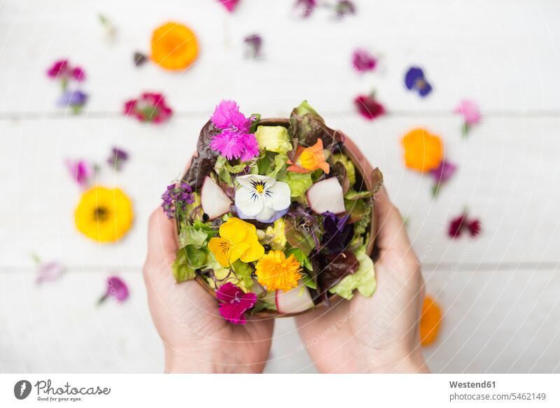 Woman's hands holding bowl of salad with edible flowers woman females women human hand human hands Adults grown-ups grownups adult people persons human being