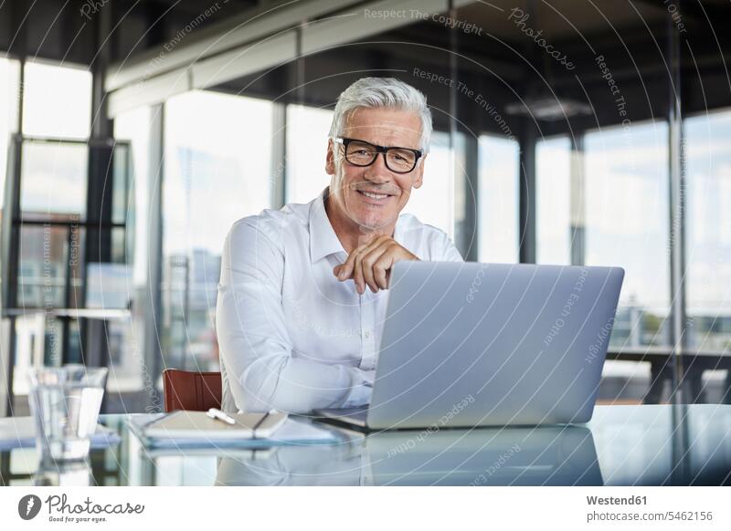 Businessman working in office, using laptop Office Offices using a laptop Using Laptops mature men mature man At Work desk desks Business man Businessmen