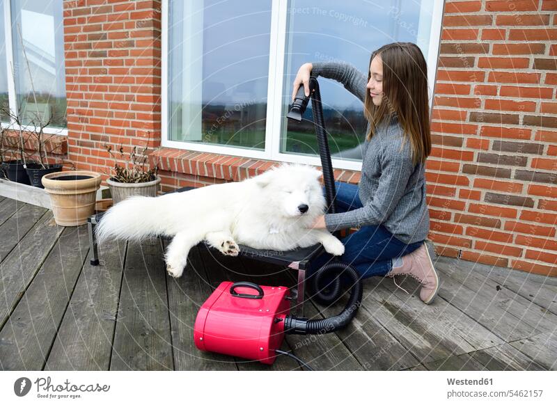 Girl blow-drying white dog on terrace dogs Canine girl females girls blow drying hair terraces pets animal creatures animals child children kid kids people