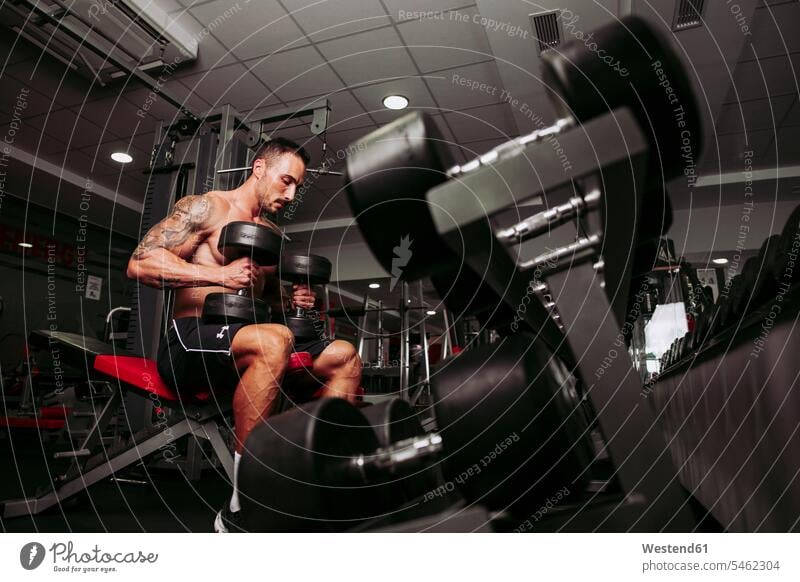 Muscular man training in gym exercise practising Seated sit sports fit athletes Sportsman Sportsmen Sportspeople Sportsperson Accomplish Accomplishment Achieve