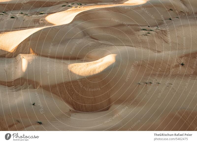 Sand dune with light and shadow play with structures Exterior shot Colour photo Nature Sun Tourism Wahiba Sands Oman Omani desert Landscape Desert
