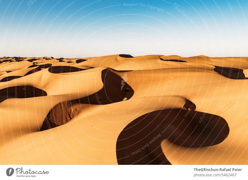 Sand dune with light and shadow play with structures Exterior shot Colour photo Nature Sun Tourism Wahiba Sands Oman Omani desert Landscape Desert