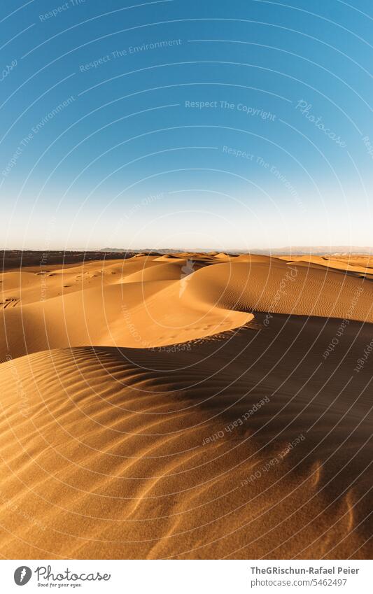 Sand dune with light and shadow play with structures Sunlight Exterior shot Colour photo Nature Tourism Wahiba Sands Oman Omani desert Landscape Desert