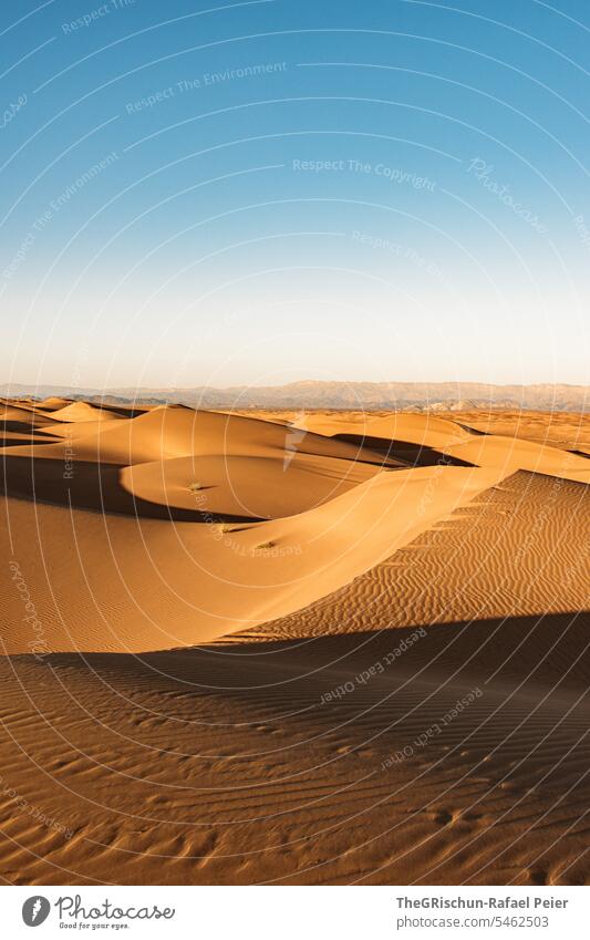 Sand dune with light and shadow play with structures Sunlight Exterior shot Colour photo Nature Tourism Wahiba Sands Oman Omani desert Landscape Desert