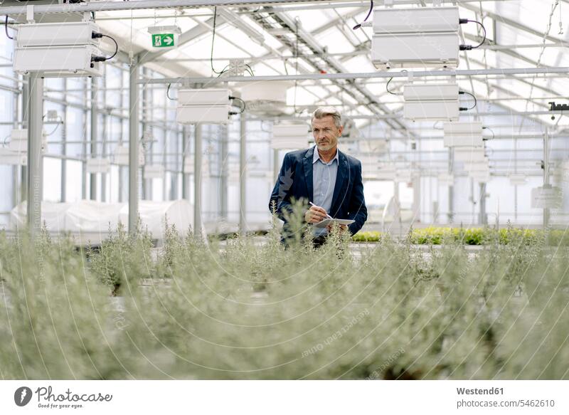 Male professional with digital tablet examining plants growing in greenhouse color image colour image Germany business people businesspeople