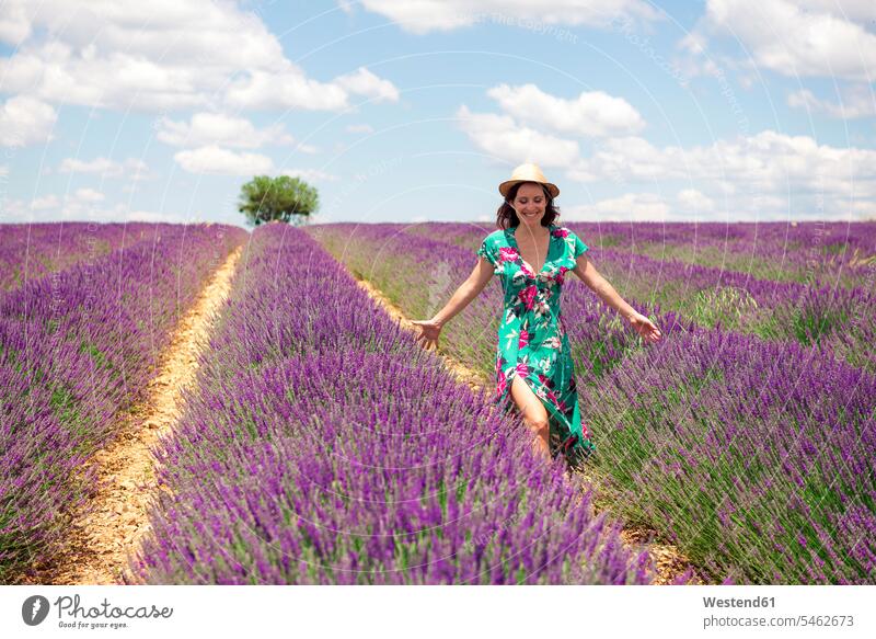 France, Provence, Valensole plateau, smiling woman walking among lavender fields in summer going smile females women Field Fields farmland Adults grown-ups