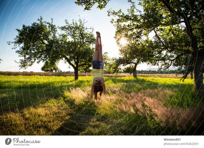 Young girl doing handstand on meadow at summer evening summer time summery summertime females girls Balance Equilibrium balanced Summer Evening meadows