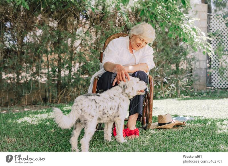 Smiling senior woman playing with dog while sitting on chair in yard color image colour image Spain leisure activity leisure activities free time leisure time