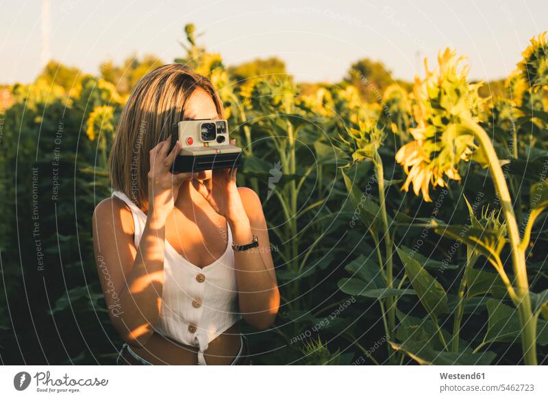 Young woman in a field of sunflowers taking pictures with an instant camera photographing females women cameras sunflower field Sunflower Helianthus annuus
