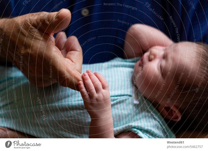 Sleeping newborn baby holding grandfathers finger generation touch relax relaxing asleep relaxation Secure closeness propinquity caressing loving tender at home