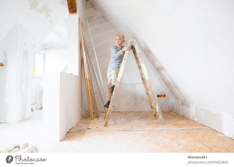 Boy standing on ladder in attic to be renovated boy boys males loft conversion Attic Lofts Attics child children kid kids people persons human being humans