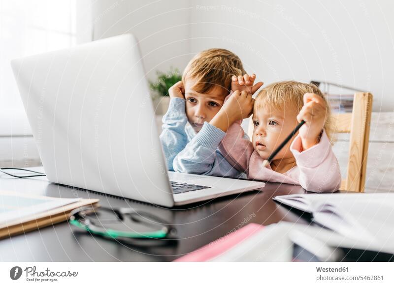 Brother and sister watching a video on a laptop Laptop Computers laptops notebook baby girls female looking eyeing looking at boy boys males video film computer