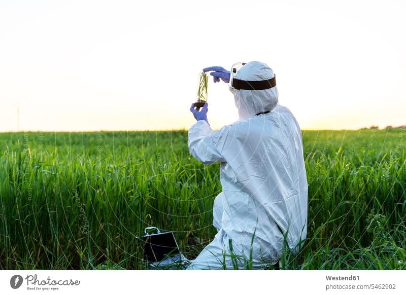 Female scientist researching in field and holding a glass with plant at sunset human human being human beings humans person persons caucasian appearance