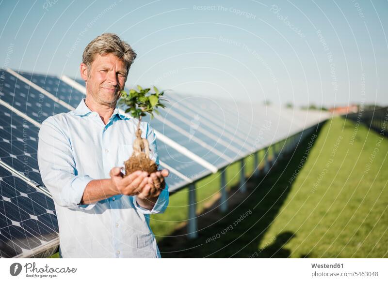 Mature man holding privet, solar plant Privet Privets Ligustrum plant protection phytosanitary pest management smiling smile Solar Power Station males watching