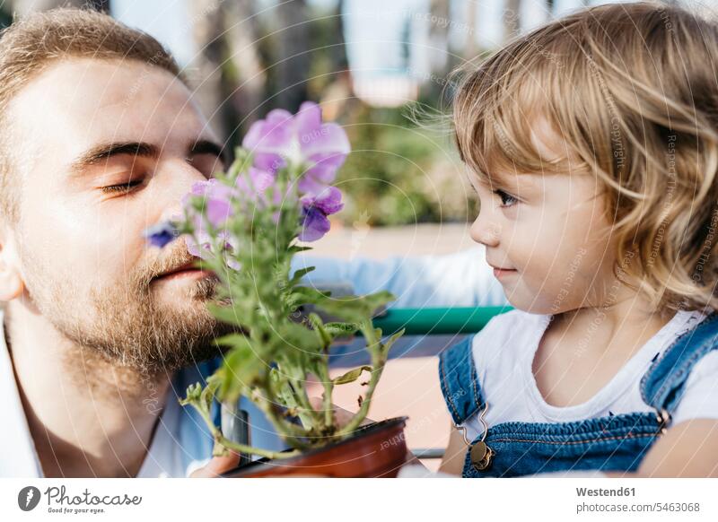 Father and daughter smelling at flower in a garden center heads faces human face human faces buy shop smile delight enjoyment Pleasant pleasure indulgence