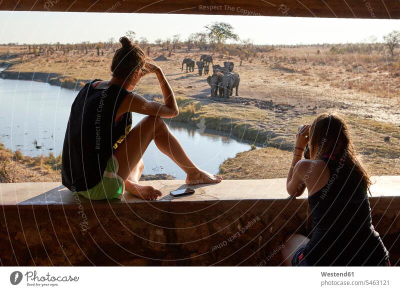 Two women watching a herd of elephants in the river from a viewpoint, Hwange National Park, Zimbabwe human human being human beings humans person persons adult