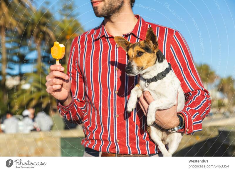 Young man with dog on his arm eating ice lolly, partial view single singles celibate solitary people celibates solitary person one animal 1 copy space lifestyle