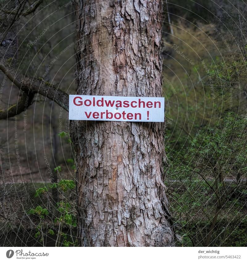 Gold panning prohibited! Signs and labeling Signage Deserted Exterior shot Colour photo Bans Prohibition sign Forest Tree trunk Clue dim light
