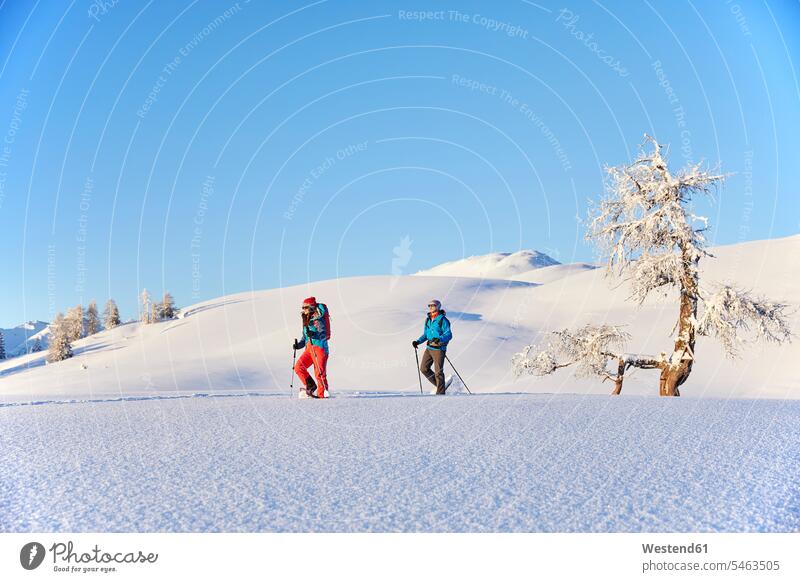 Austria, Tyrol, couple snowshoeing twosomes partnership couples nature tourism winter hibernal snowshoe hiker snowshoe hikers Looking At View Looking at a view