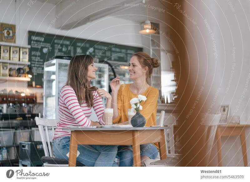 Two girlfriends meeting in a coffee shop, talking female friends encounter gathering speaking sitting Seated cafe mate friendship conversations Joy enjoyment