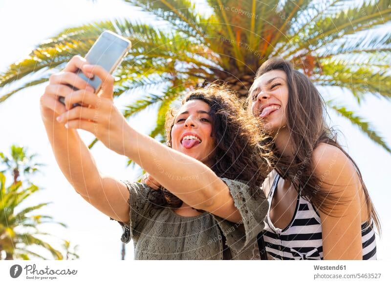 Two playful female friends taking a selfie under a palm tree Selfie Selfies Palm Palm Trees Palms mate friendship quality of life carefree mischief rampaging