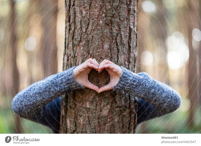 Woman embracing tree and making heart shape in Cannock Chase forest color image colour image outdoors location shots outdoor shot outdoor shots day