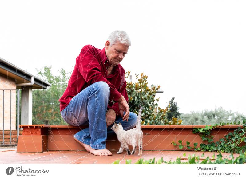 Senior man with kitten sitting on roof terrace human human being human beings humans person persons caucasian appearance caucasian ethnicity european 1