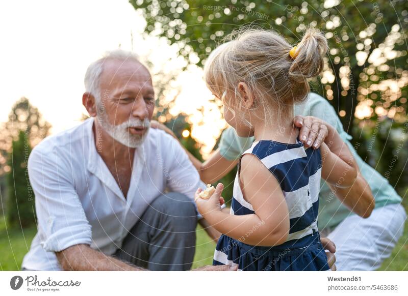 Grandparents with granddaughter in garden gardens domestic garden grandparents granddaughters family families people persons human being humans human beings