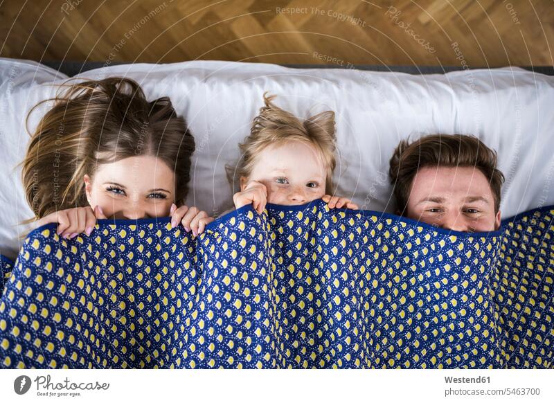 Happy family lying in bed, hiding under blanket hide happiness happy duvets blankets beds laying down lie lying down families Hide people persons human being