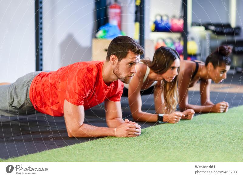 Young people exercising plank variations in a gym athlete Sportspeople Sportsman Sportsperson athletes Sportsmen sportswoman female athlete sportswomen