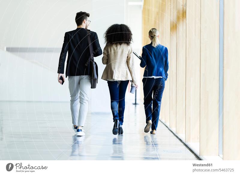 Rear view of young business people walking and talking in a hallway business life business world business person businesspeople associate associates