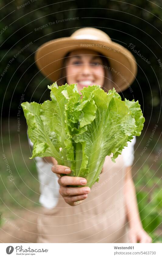 Smiling young woman wearing hat holding lettuce in vegetable garden during curfew color image colour image Spain outdoors location shots outdoor shot