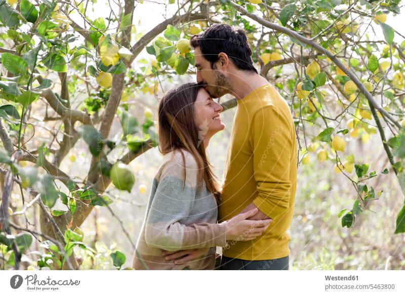 Loving man kissing on girlfriend's forehead while standing by lemon tree in farm color image colour image Spain leisure activity leisure activities free time