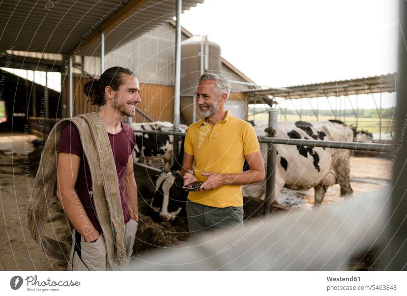 Smiling mature farmer with smartphone and adult son at cow house on a farm Occupation Work job jobs profession professional occupation agriculturist