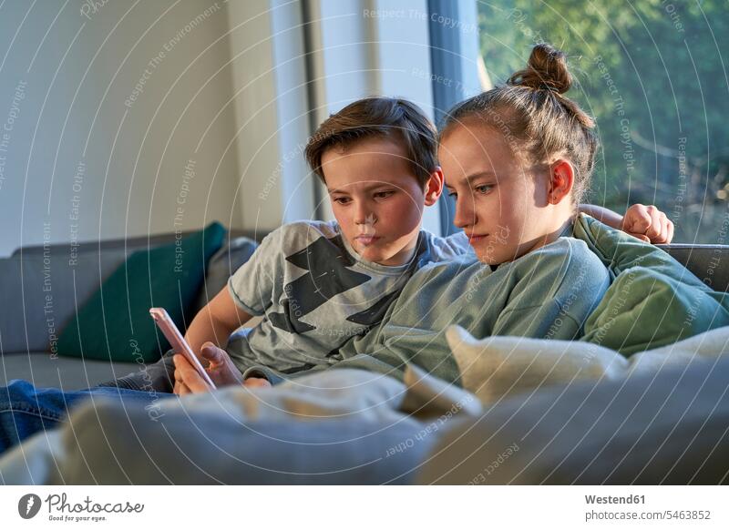 Brother and sister sitting on couch at home using smartphone human human being human beings humans person persons caucasian appearance caucasian ethnicity