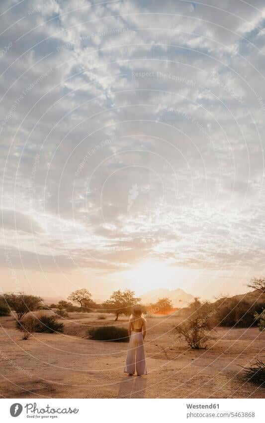 Namibia, Spitzkoppe, woman standing in desert landscape at sunset sunsets sundown landscapes scenery terrain Deserts females women atmosphere atmospheric mood