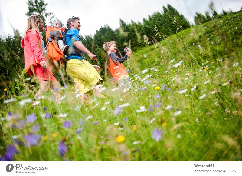Family hiking in flower meadow family families meadows hike rural country countryside Flower Flowers landscape landscapes scenery terrain people persons