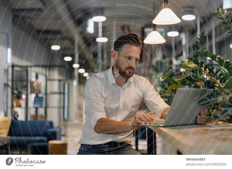 Mature businessman using laptop in modern office lounge Occupation Work job jobs profession professional occupation business life business world business person