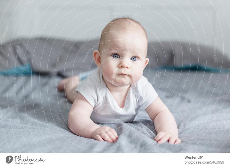 Portrait of baby boy lying on bed beds laying down lie lying down baby boys male portrait portraits babies infants people persons human being humans