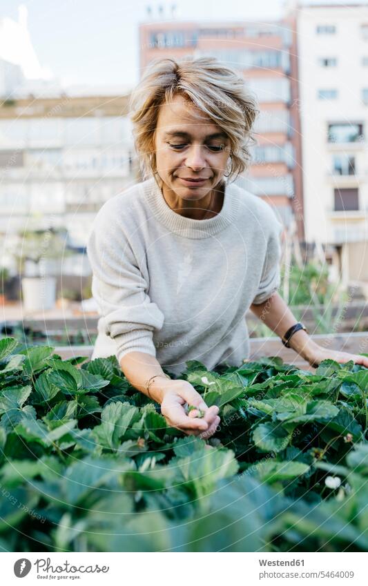 Blond woman touching plant while standing at rooftop garden color image colour image outdoors location shots outdoor shot outdoor shots day daylight shot