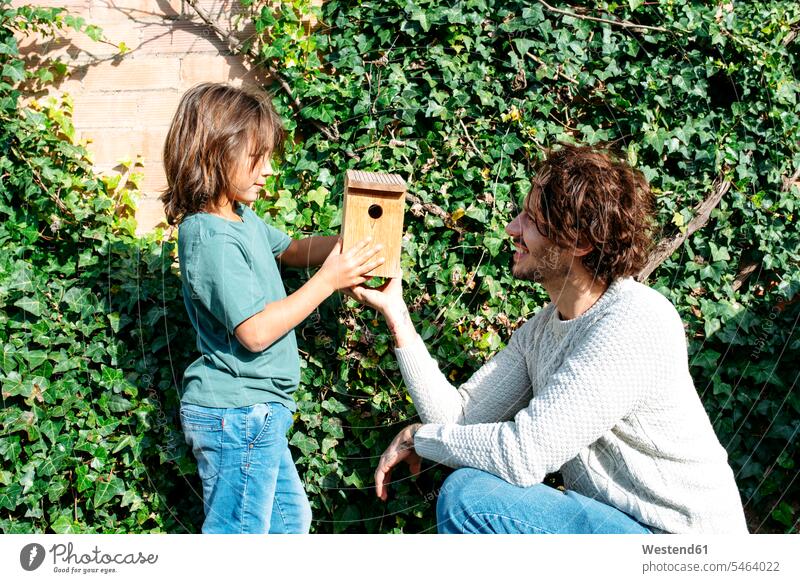 Father and son mounting a birdhouse in the garden sons manchild manchildren together assembling gardens aviary birdhouses aviaries father pa fathers daddy dads