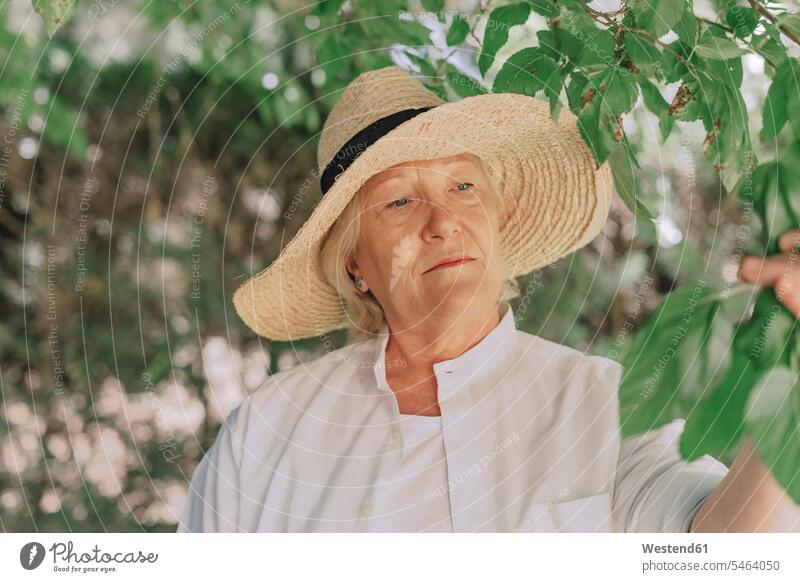 Close-up of senior woman wearing hat looking at plant in yard color image colour image Spain leisure activity leisure activities free time leisure time