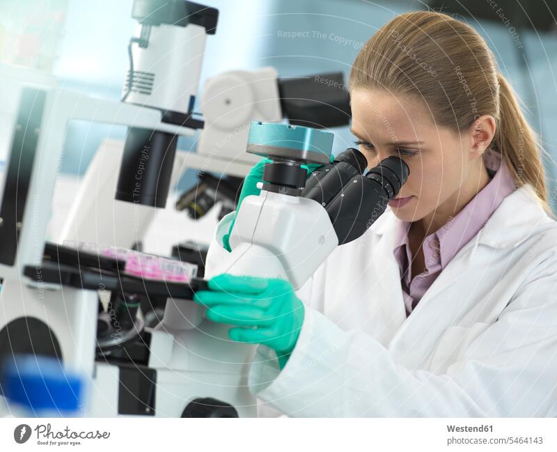 Cell Research, Scientist viewing cells in a multi well plate under the microscope in the laboratory cell culture cell cultures laboratory technician sample