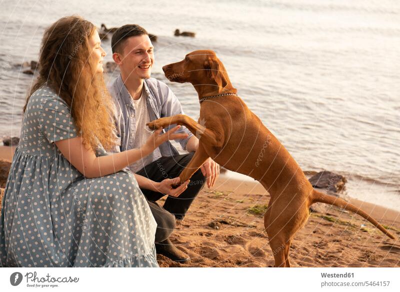 Couple with dog at the beach, dog giving paw animals creature creatures pet Canine dogs give smile in the evening happy Contented Emotion pleased being proud