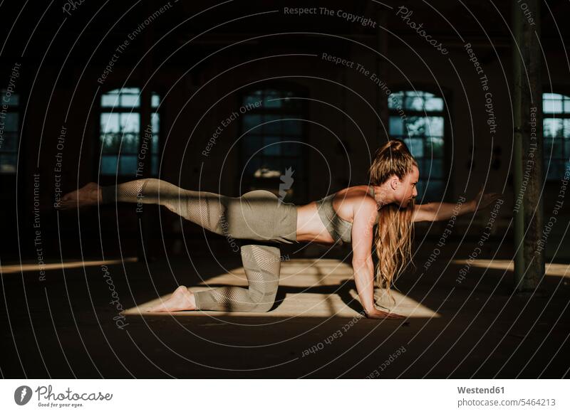 Athlete doing bird dog pose on floor at abandoned factory color image colour image indoors indoor shot indoor shots interior interior view Interiors day